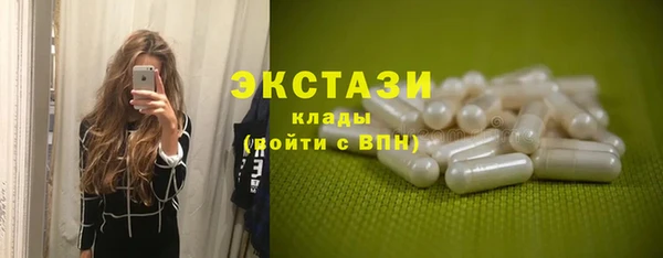 ECSTASY Богданович