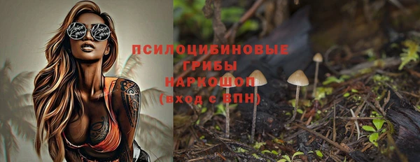 спиды Магадан