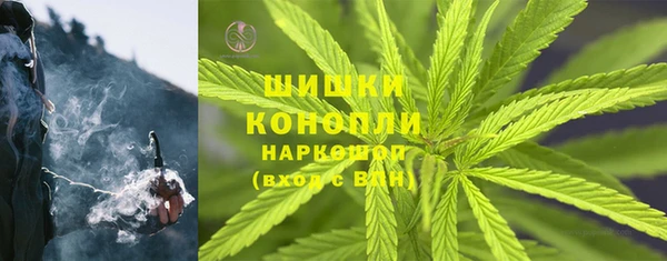 сатива Долгопрудный