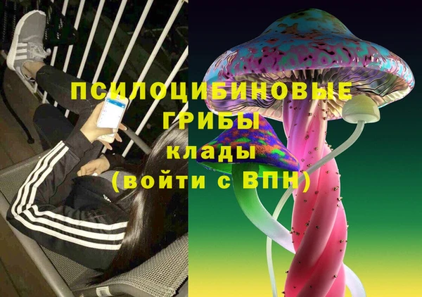 2c-b Магас