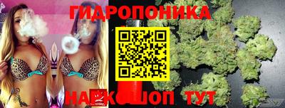 таблы Дубна