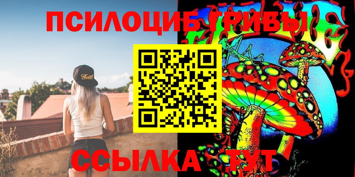 Псилоцибиновые грибы Psilocybe  где продают   Красногорск 