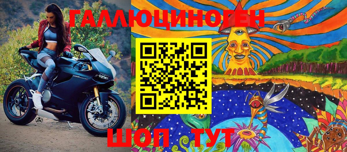 Галлюциногенные грибы Psilocybe Красногорск