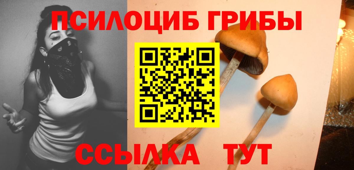 Псилоцибиновые грибы MAGIC MUSHROOMS  Вход с VPN  Красногорск  Псилоцибиновые грибы MAGIC MUSHROOMS 